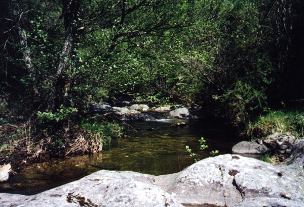 Photo.V.Vuillaume