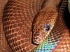 d.jpg